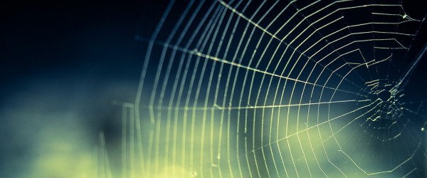cobweb-959578_960_720 cobweb-959578_960_720