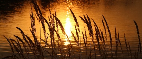 sunset-2089981_960_720 sunset-2089981_960_720